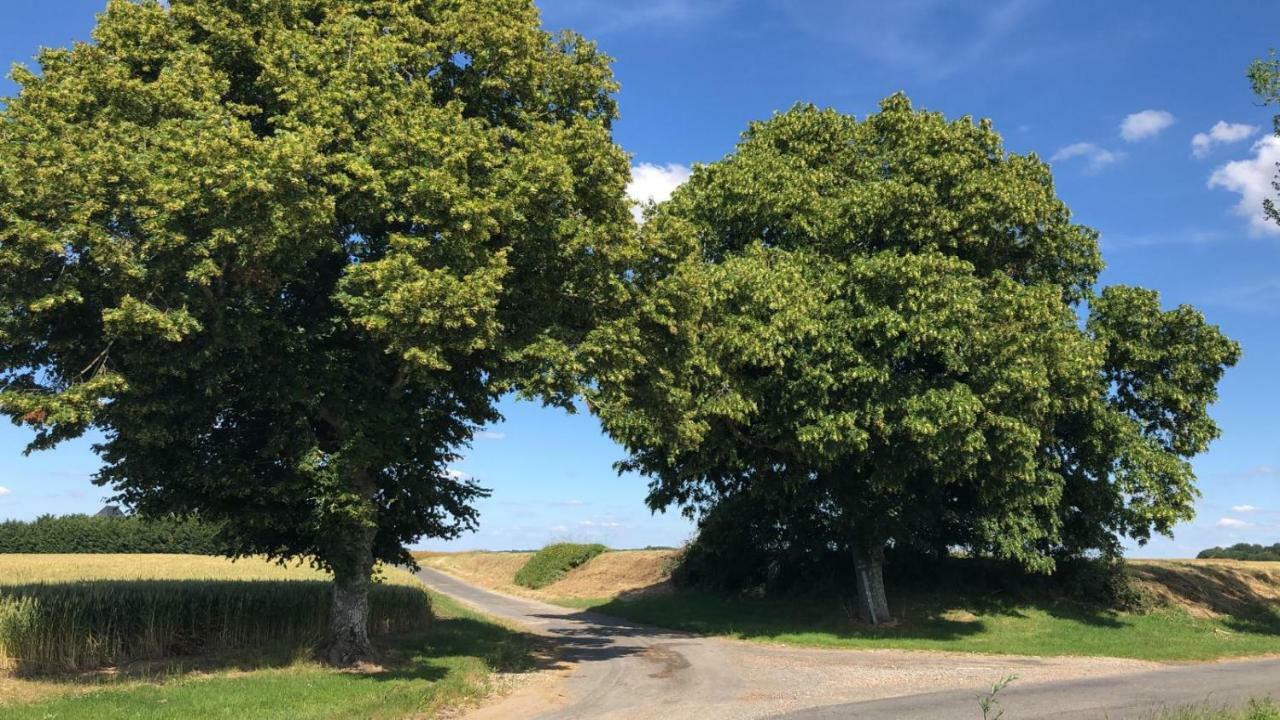 Le Gite De Ballage Chemillé-sur-Dême Kültér fotó